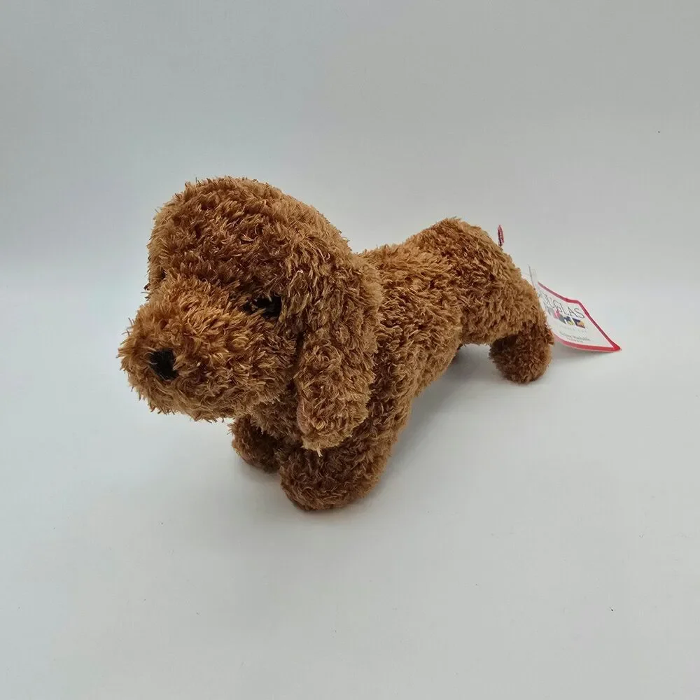 Douglas cuddletoy dachshund